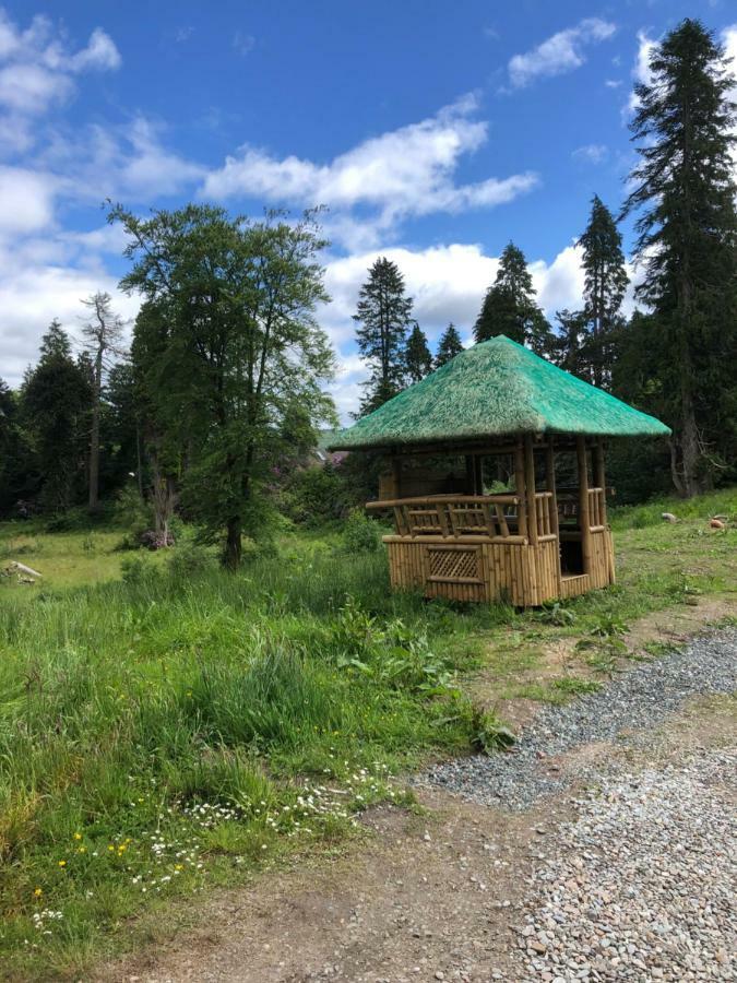 61 Glenfinart Caravan Park Данун Экстерьер фото