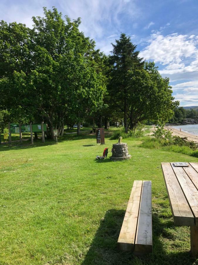 61 Glenfinart Caravan Park Данун Экстерьер фото